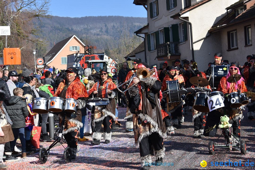 Fasnachtsumzug: Rorbas-Embrach - Schweiz, 04.03.2018