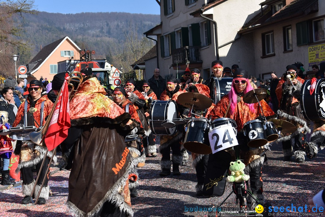 Fasnachtsumzug: Rorbas-Embrach - Schweiz, 04.03.2018