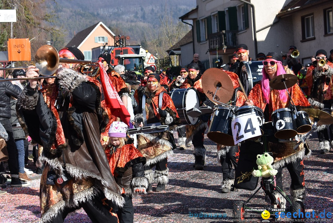 Fasnachtsumzug: Rorbas-Embrach - Schweiz, 04.03.2018