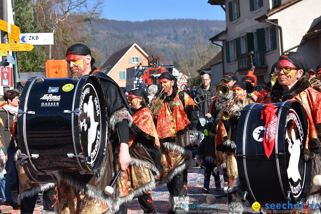 Fasnachtsumzug: Rorbas-Embrach - Schweiz, 04.03.2018