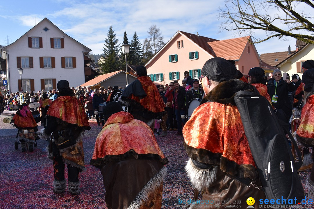 Fasnachtsumzug: Rorbas-Embrach - Schweiz, 04.03.2018