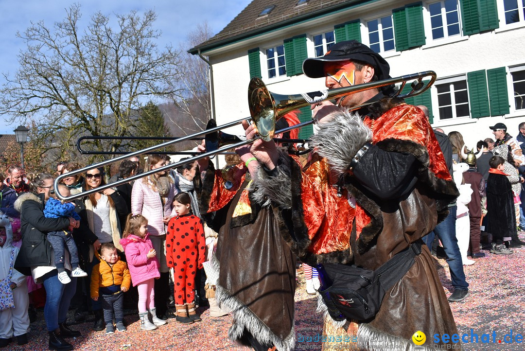 Fasnachtsumzug: Rorbas-Embrach - Schweiz, 04.03.2018