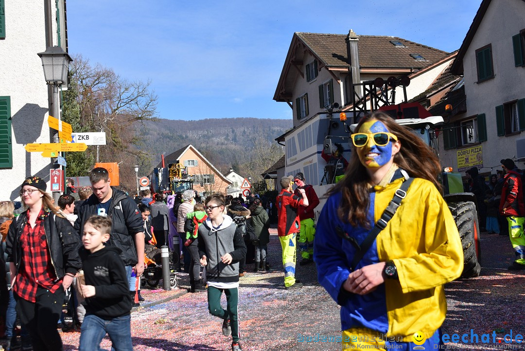 Fasnachtsumzug: Rorbas-Embrach - Schweiz, 04.03.2018