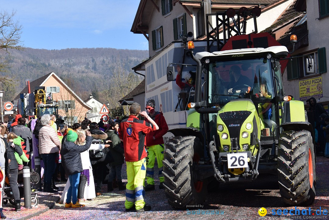 Fasnachtsumzug: Rorbas-Embrach - Schweiz, 04.03.2018