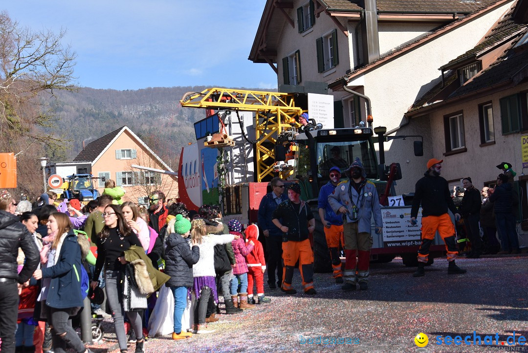 Fasnachtsumzug: Rorbas-Embrach - Schweiz, 04.03.2018