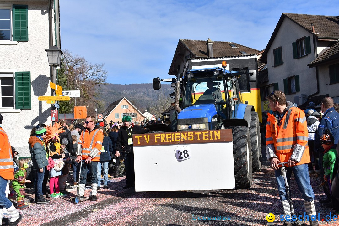 Fasnachtsumzug: Rorbas-Embrach - Schweiz, 04.03.2018