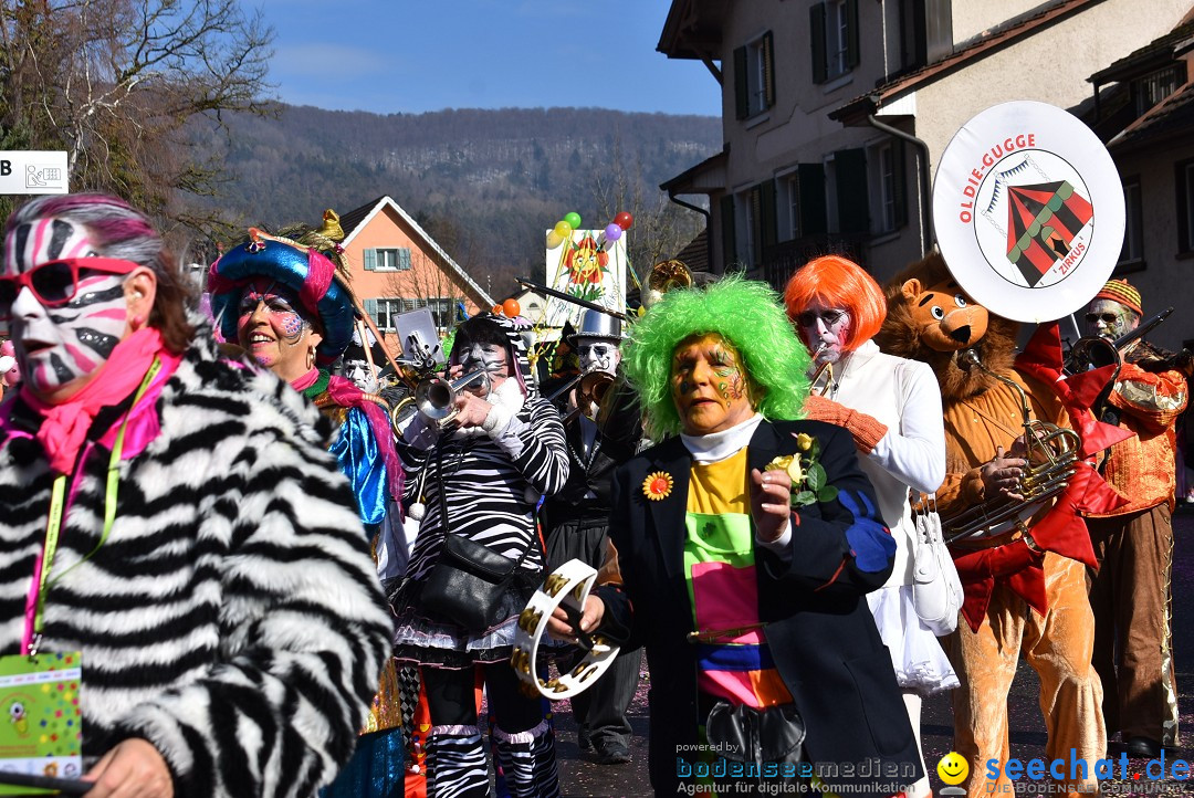 Fasnachtsumzug: Rorbas-Embrach - Schweiz, 04.03.2018