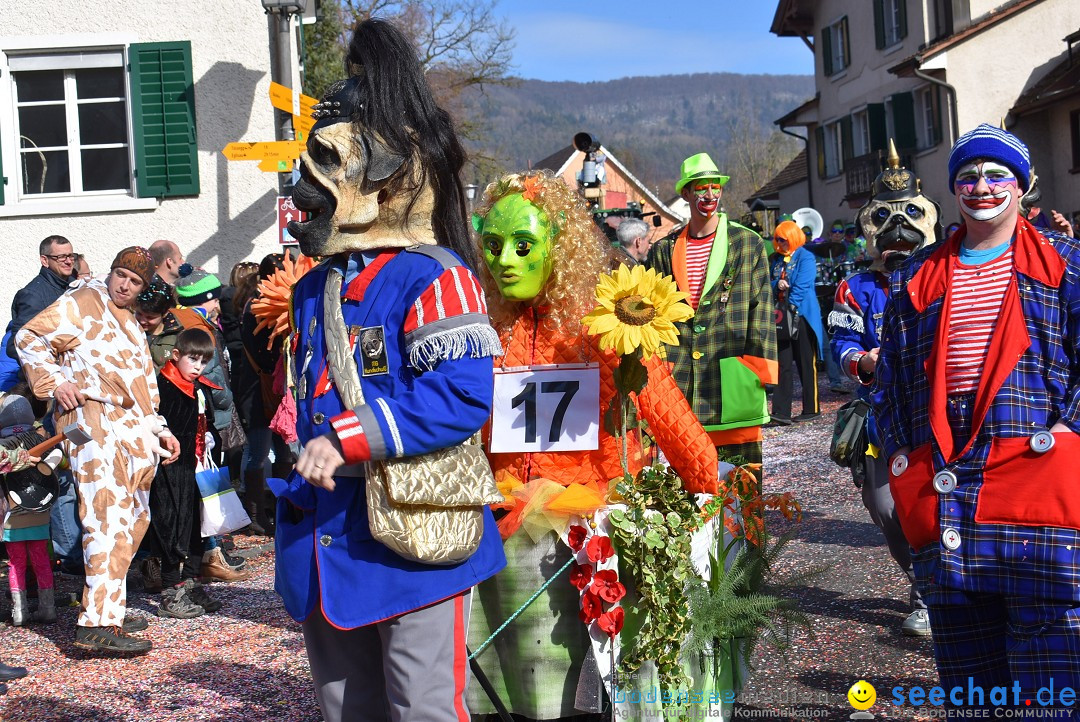 Fasnachtsumzug: Rorbas-Embrach - Schweiz, 04.03.2018