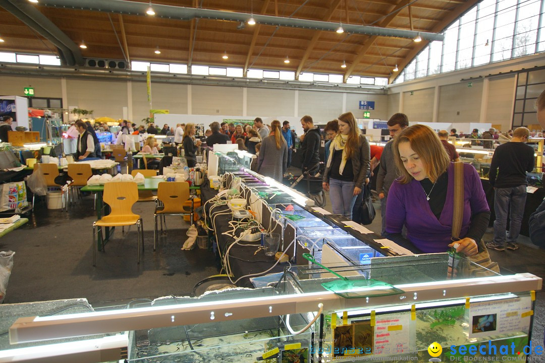 AQUA-FISCH - Internationale Aquaristik-Messe: Friedrichshafen, 11.03.2018