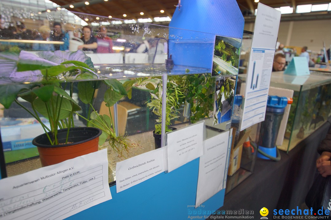 AQUA-FISCH - Internationale Aquaristik-Messe: Friedrichshafen, 11.03.2018