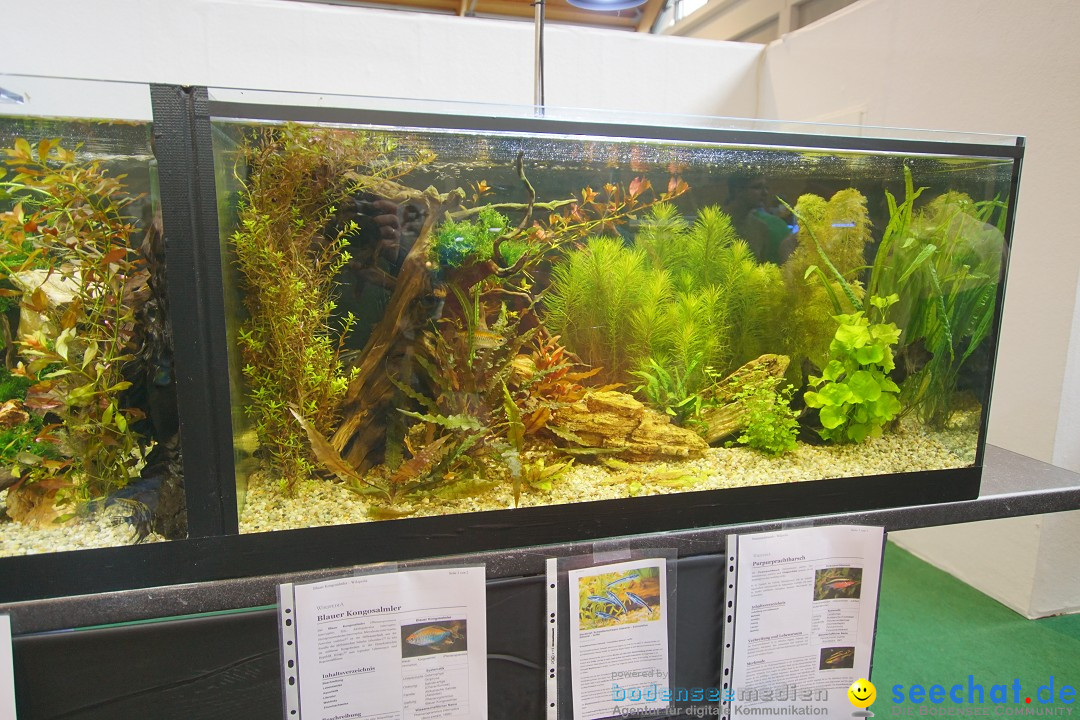 AQUA-FISCH - Internationale Aquaristik-Messe: Friedrichshafen, 11.03.2018