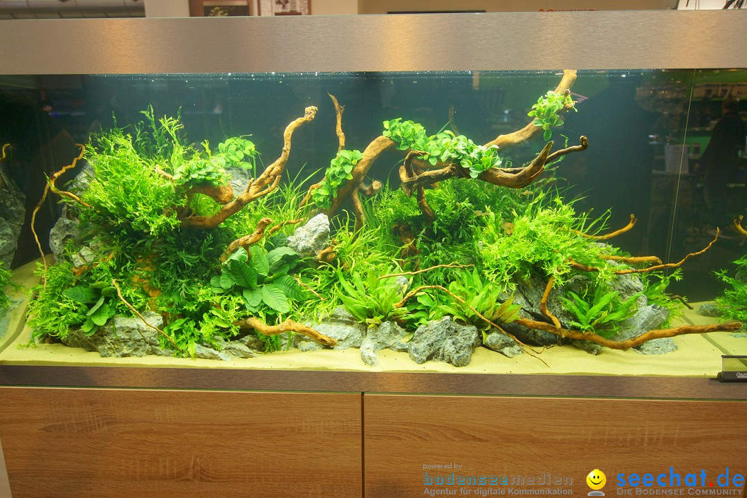 AQUA-FISCH - Internationale Aquaristik-Messe: Friedrichshafen, 11.03.2018