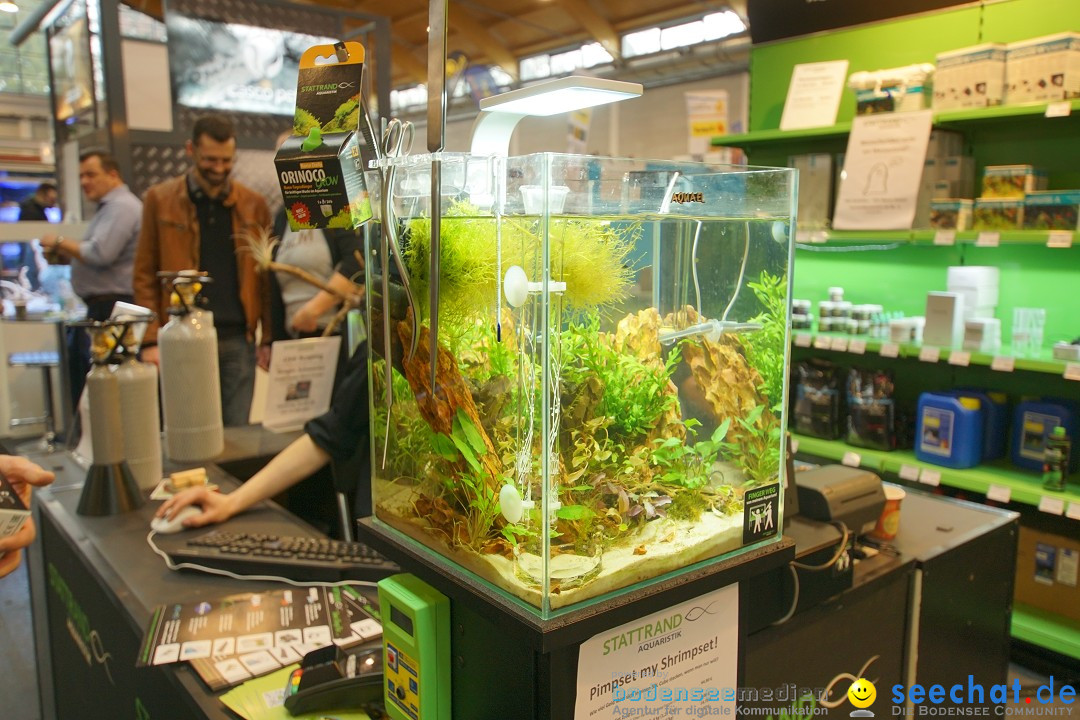 AQUA-FISCH - Internationale Aquaristik-Messe: Friedrichshafen, 11.03.2018