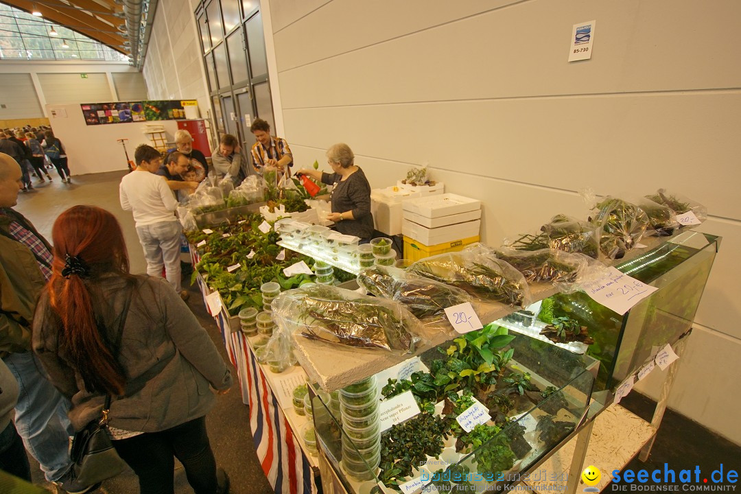 AQUA-FISCH - Internationale Aquaristik-Messe: Friedrichshafen, 11.03.2018