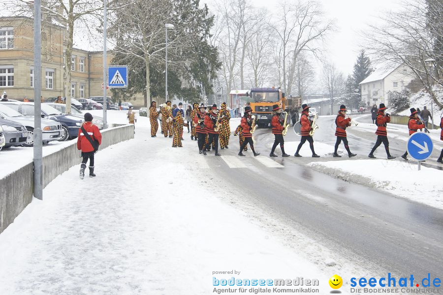 Schmotzige Dunstig - Narrentreiben: Stockach, 11.02.2010