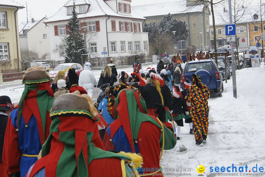 Schmotzige Dunstig - Narrentreiben: Stockach, 11.02.2010