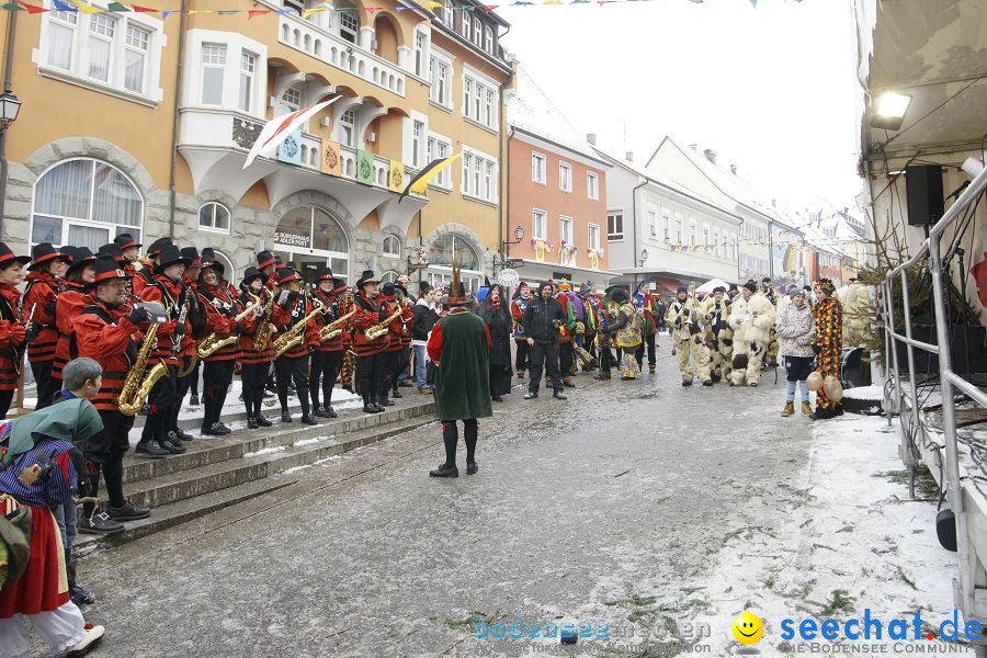 Schmotzige Dunstig - Narrentreiben: Stockach, 11.02.2010