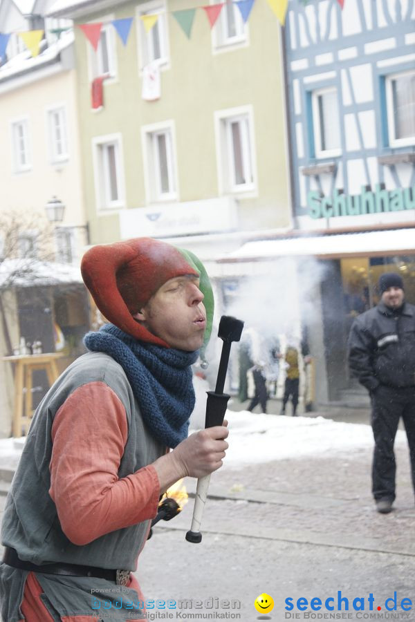 Schmotzige Dunstig - Narrentreiben: Stockach, 11.02.2010