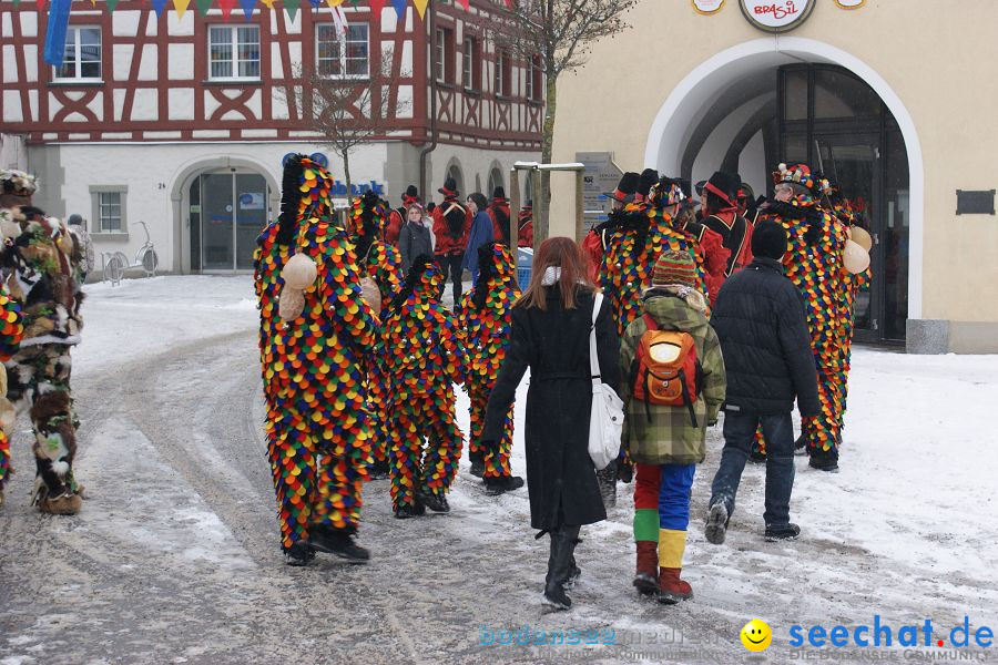 Schmotzige Dunstig - Narrentreiben: Stockach, 11.02.2010