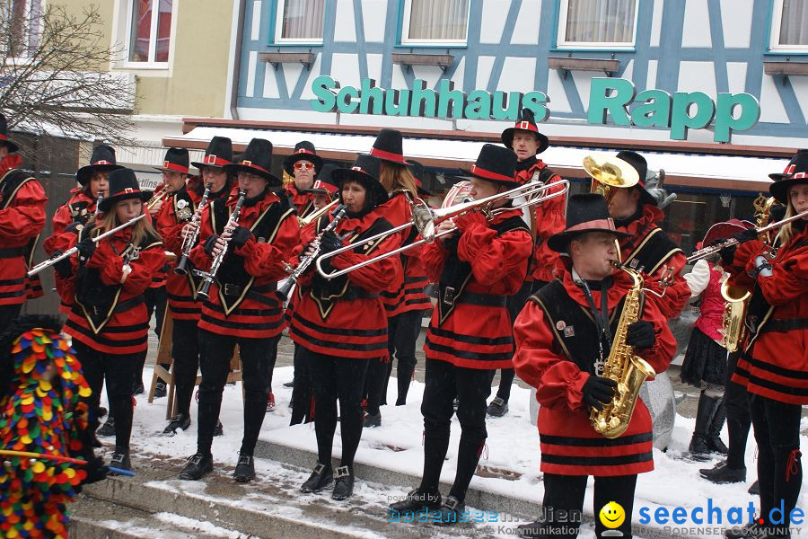 Schmotzige Dunstig - Narrentreiben: Stockach, 11.02.2010