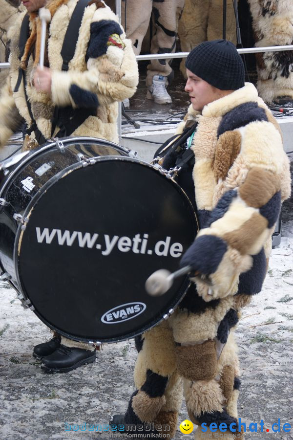 Schmotzige Dunstig - Narrentreiben: Stockach, 11.02.2010