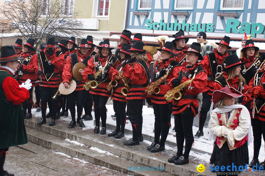 Schmotzige Dunstig - Narrentreiben: Stockach, 11.02.2010