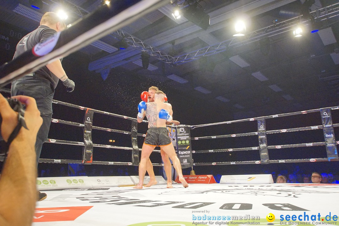 Bodensee Fightnight V in Uhldingen am Bodensee, 24.03.2018