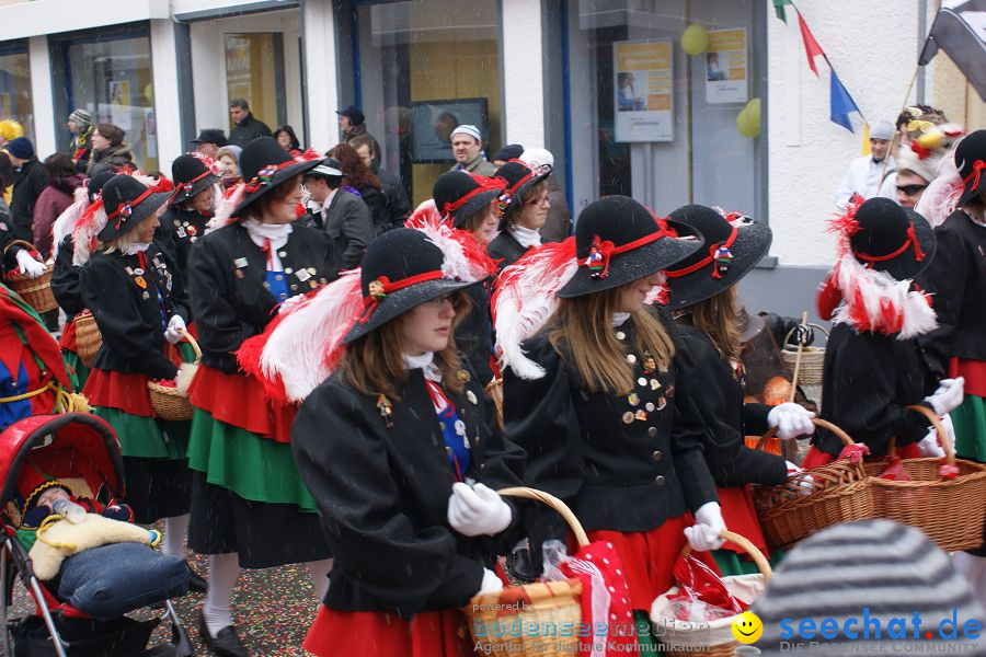 Narrenbaumstellen: Stockach, 11.02.2010