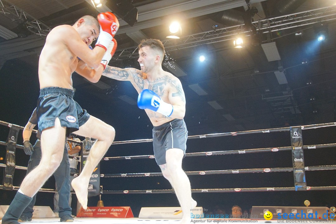 Bodensee Fightnight V in Uhldingen am Bodensee, 24.03.2018