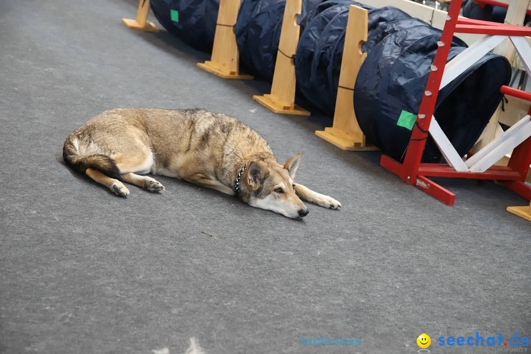 IBO-Friedrichshafen-240318-Bodenseecommunity-seechat_de-IMG_9151