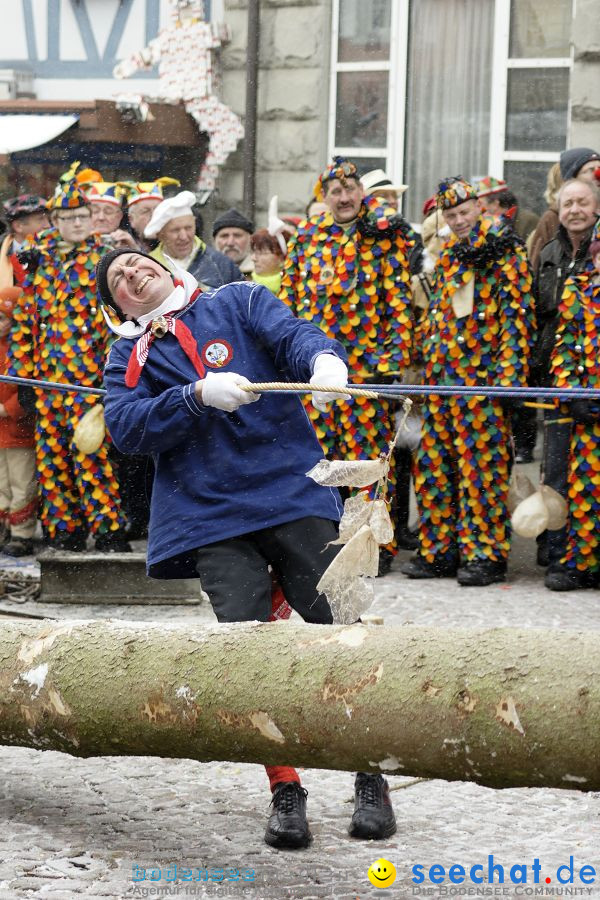 Narrenbaumstellen: Stockach, 11.02.2010