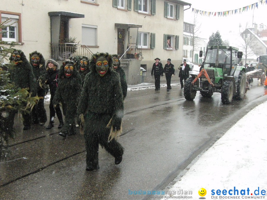 Narrenbaumstellen: Stetten, 11.02.2010