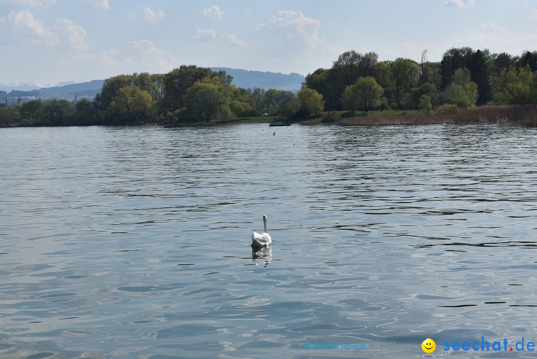 Hafenfest: Romanshorn am Bodensee - Schweiz, 22.04.2018