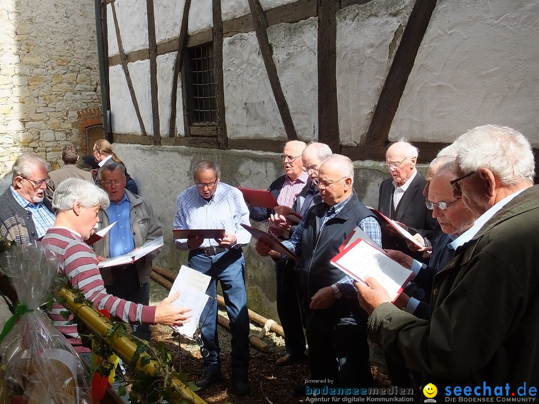 Maibaumstellen: Riedlingen, 02.05.2018