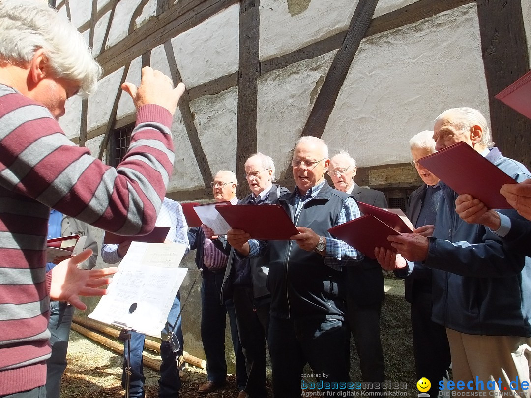 Maibaumstellen: Riedlingen, 02.05.2018