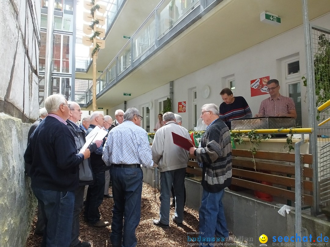 Maibaumstellen: Riedlingen, 02.05.2018