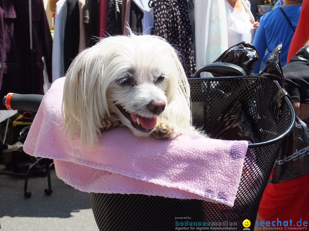 Flohmarkt in Bad-Saulgau am Bodensee, 12.05.2018