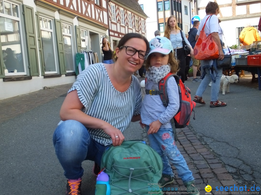 Flohmarkt in Bad-Saulgau am Bodensee, 12.05.2018