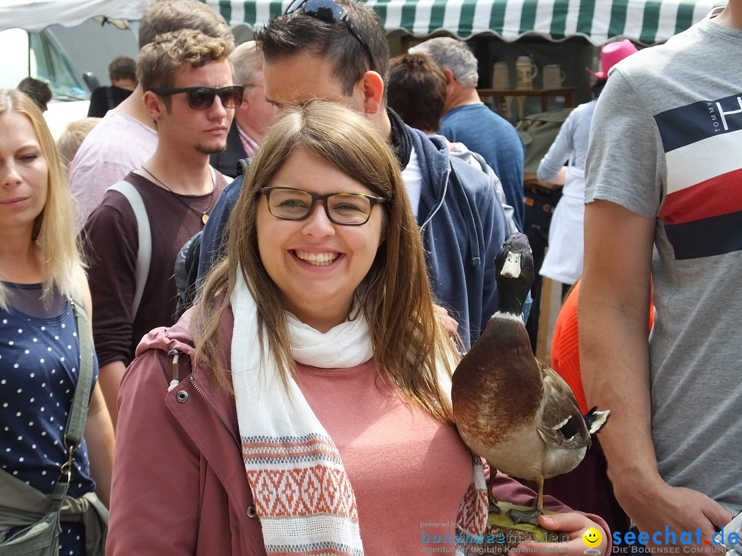 Flohmarkt in Riedlingen am Bodensee, 19.05.2018