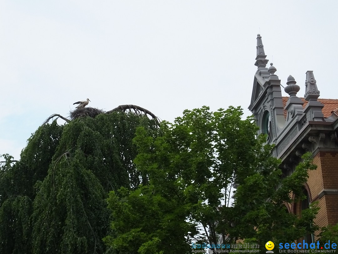 Flohmarkt in Riedlingen am Bodensee, 19.05.2018