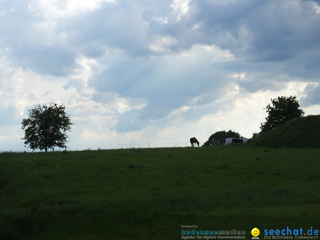 Zeitreise Heuneburg - Herbertingen, 21.05.2018