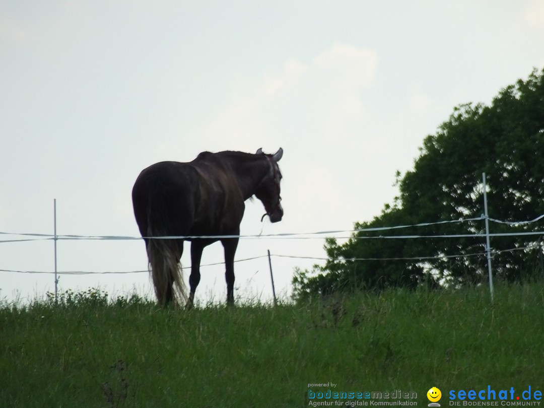 Zeitreise Heuneburg - Herbertingen, 21.05.2018