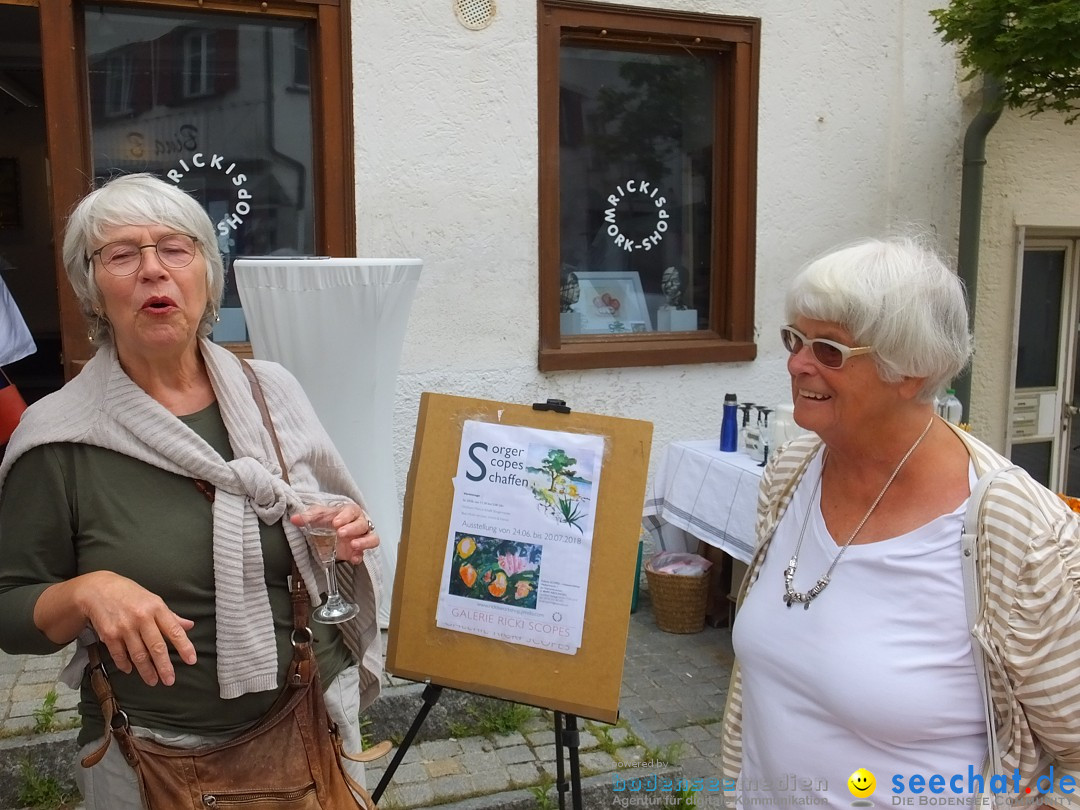 Vernissage - Gerda Sorger: Riedlingen, 24.06.2018