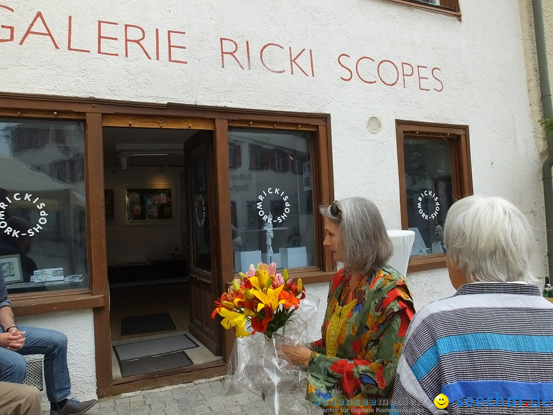 Vernissage - Gerda Sorger: Riedlingen, 24.06.2018