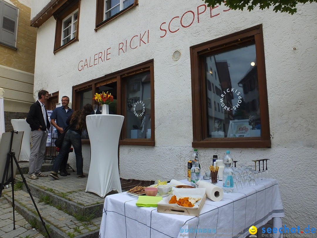 Vernissage - Gerda Sorger: Riedlingen, 24.06.2018