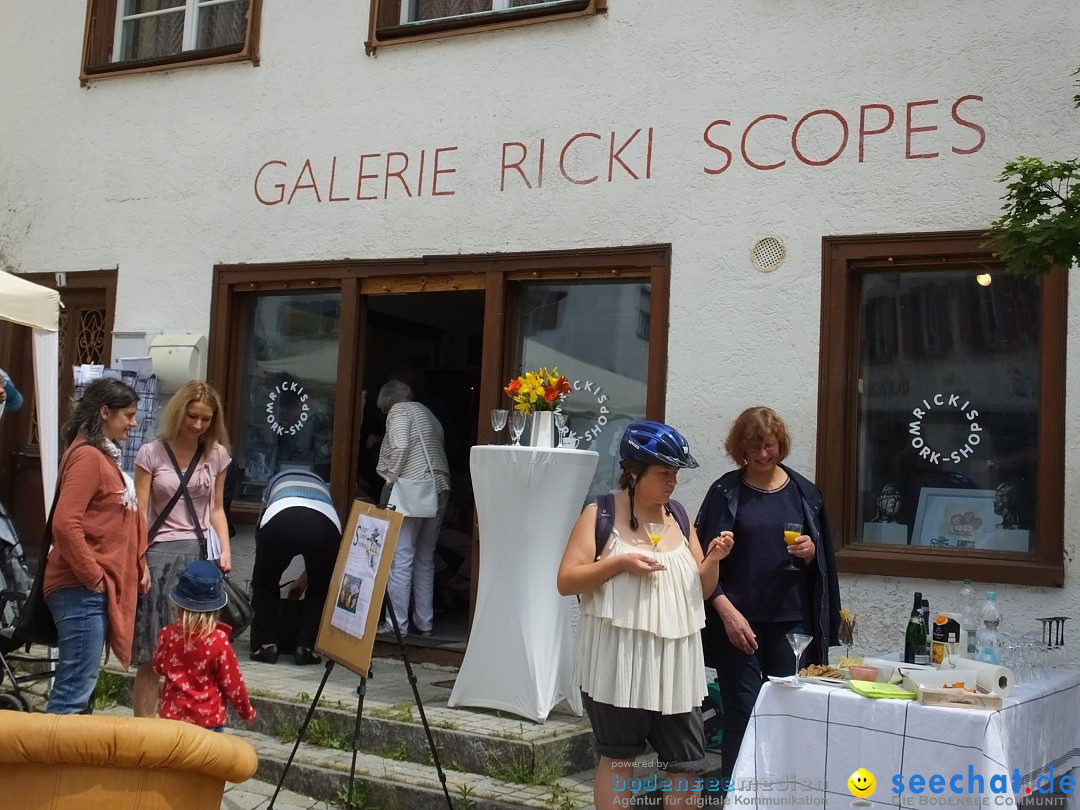 Vernissage - Gerda Sorger: Riedlingen, 24.06.2018