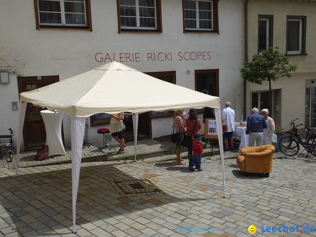 Vernissage - Gerda Sorger: Riedlingen, 24.06.2018