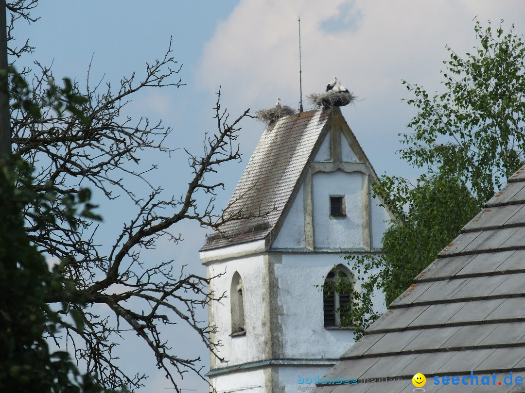 Flohmarkt: Zwiefaltendorf, 30.06.2018