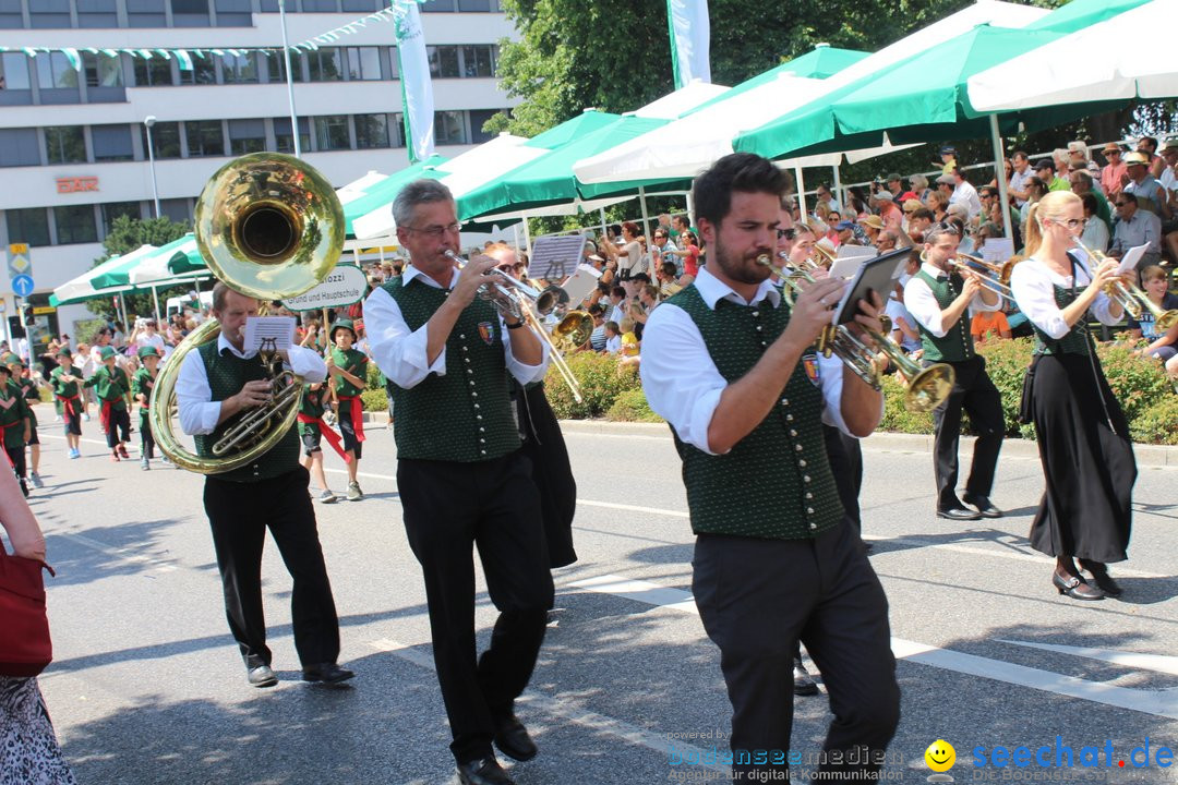 70. Seehasenfest mit Umzug: Friedrichshafen am Bodensee, 15.07.2018