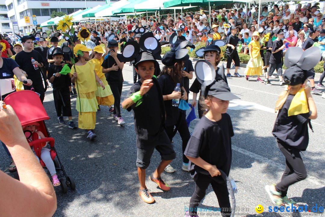 70. Seehasenfest mit Umzug: Friedrichshafen am Bodensee, 15.07.2018